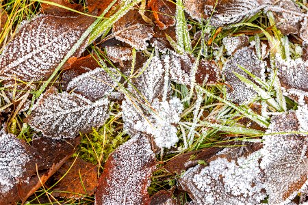 Ground Frozen