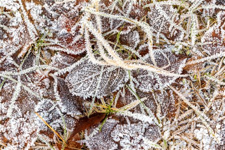 Ground Frozen