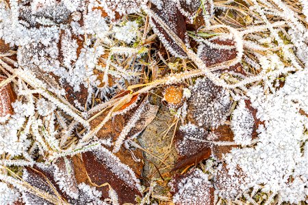Ground Frozen