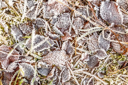 Ground Frozen