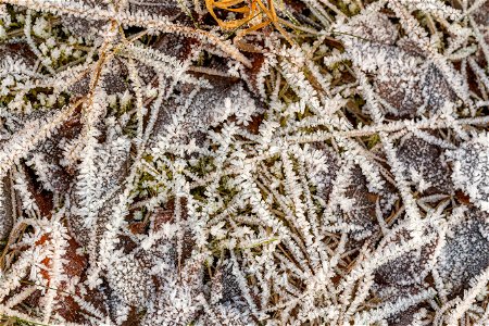 Ground Frozen