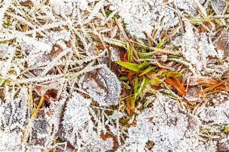 Ground Frozen
