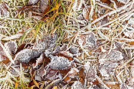 Ground Frozen