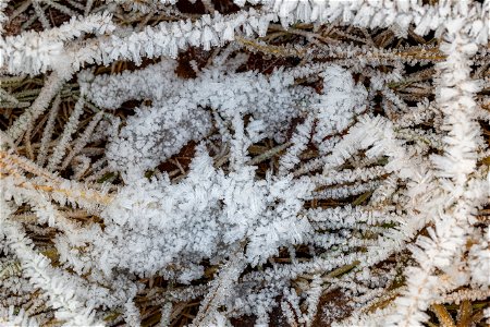 Ground Frozen