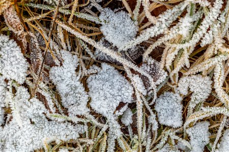 Ground Frozen