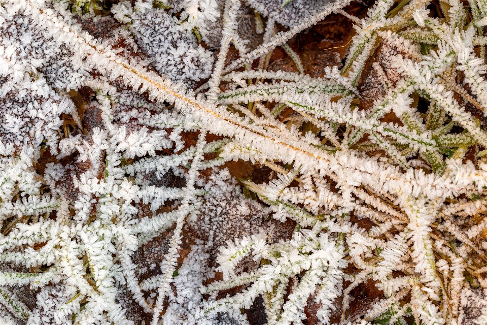 Ground Frozen