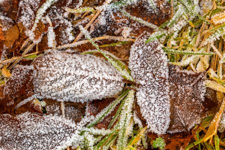 Ground Frozen