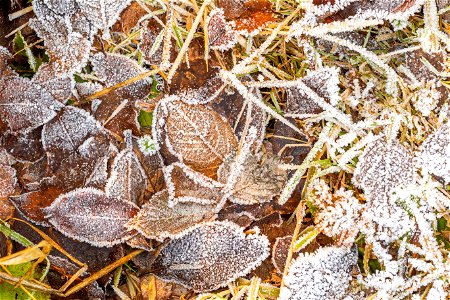 Ground Frozen photo