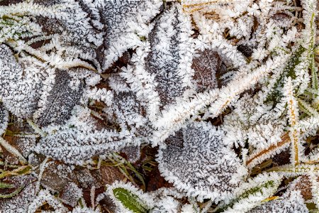 Ground Frozen