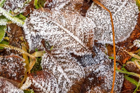 Ground Frozen