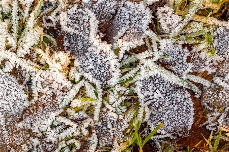 Ground Frozen photo