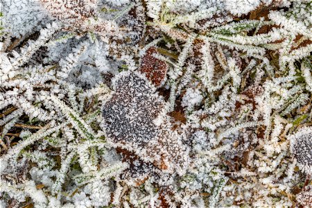 Ground Frozen