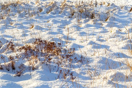 Ground Frozen