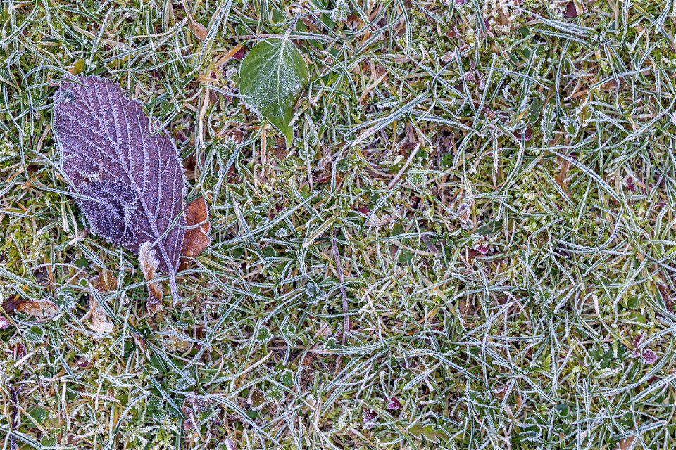 Ground Frozen photo