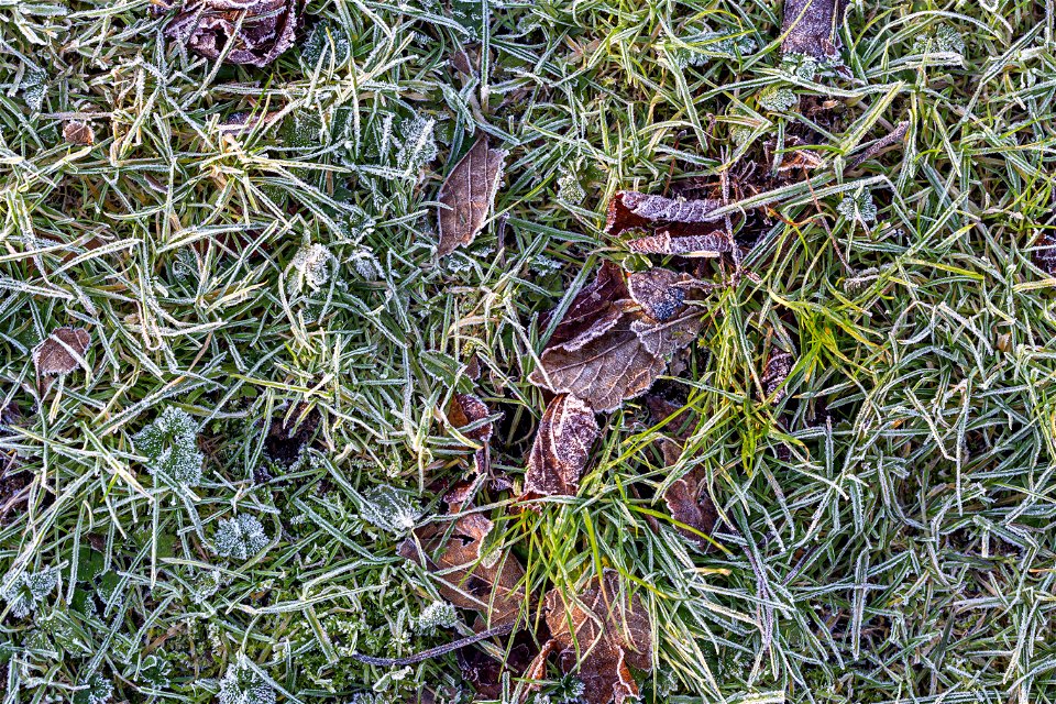 Ground Frozen photo