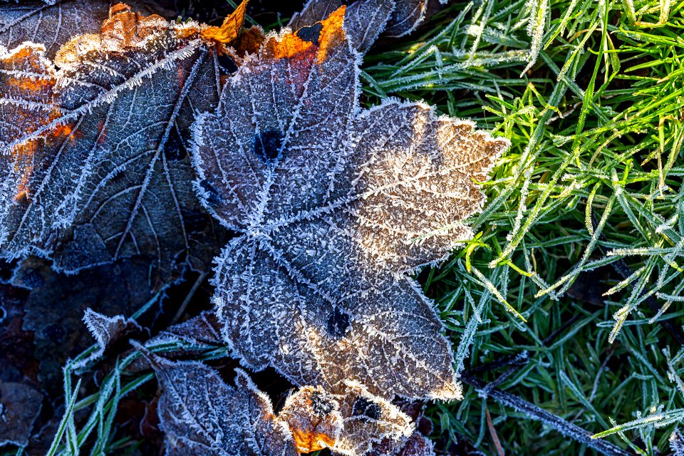 Ground Frozen photo