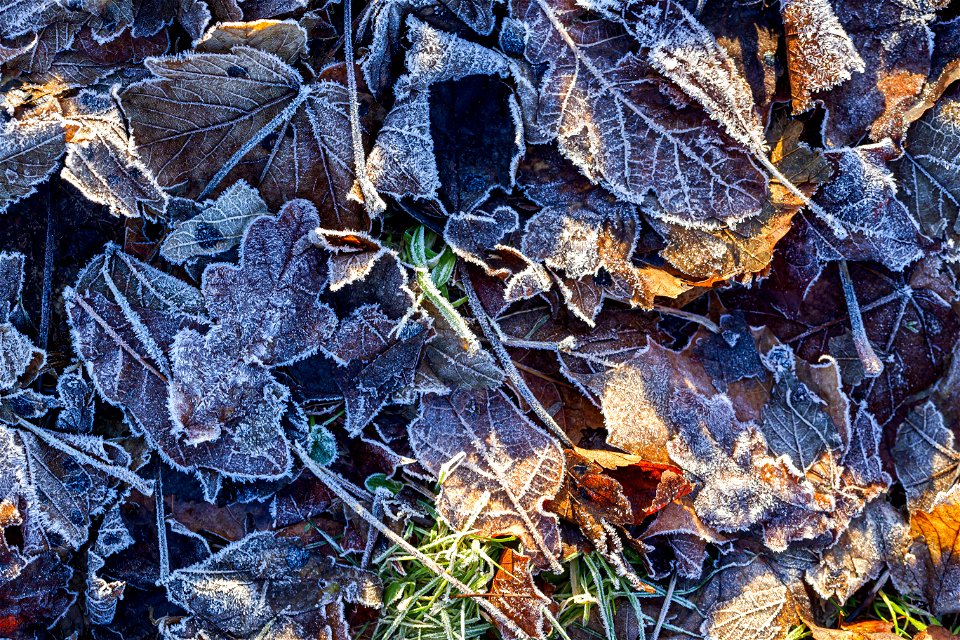 Ground Frozen photo