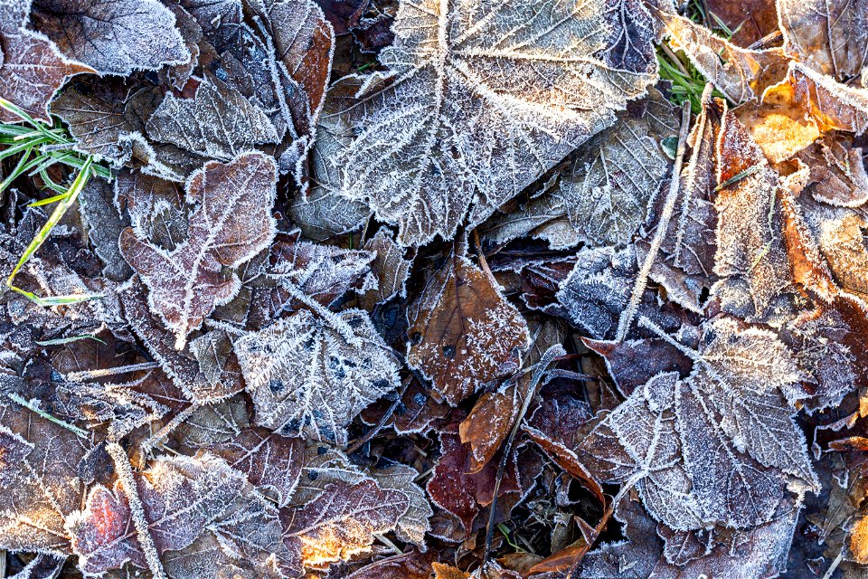 Ground Frozen photo