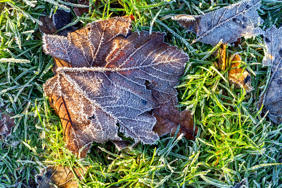 Ground Frozen photo
