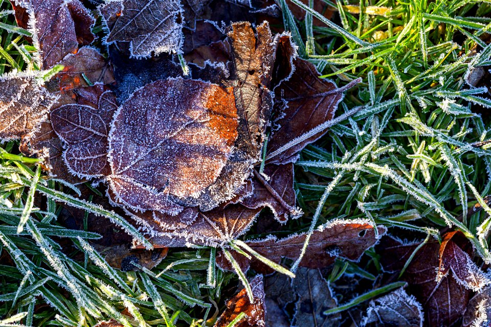 Ground Frozen photo