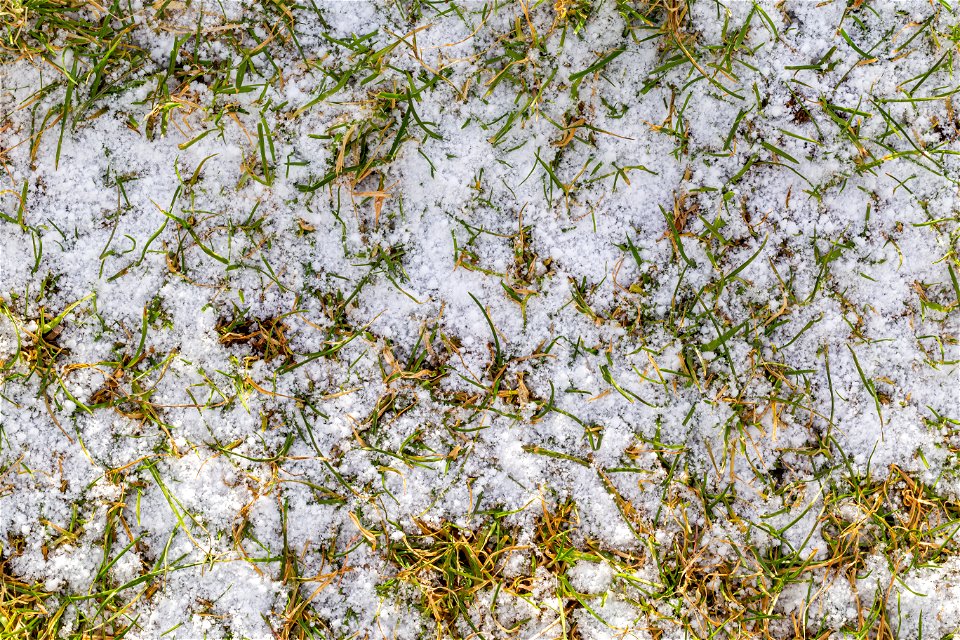 Ground Frozen photo