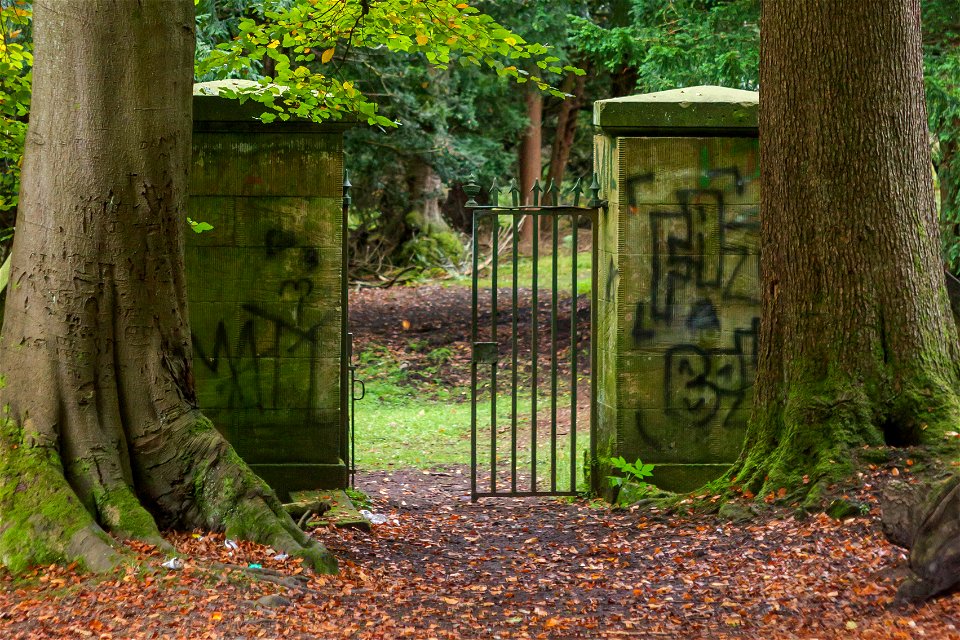 Graffiti
