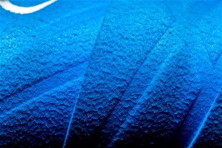 Fabric Synthetic