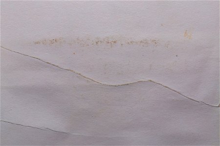 Paper Plain photo