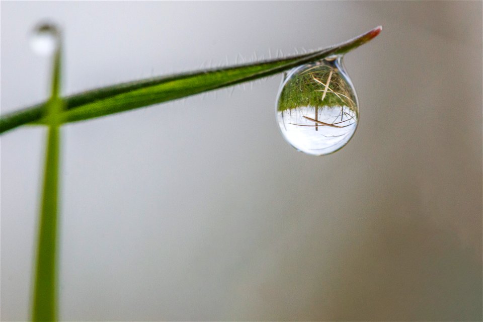 Water Waterdrops