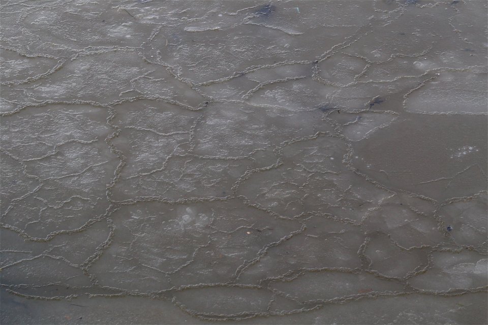 Water Ice and Snow