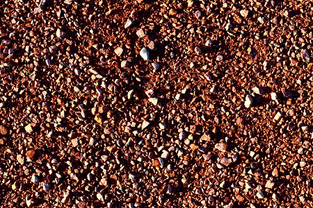 Soil Gravel