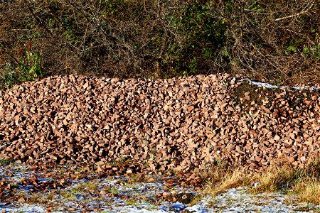 Soil Gravel