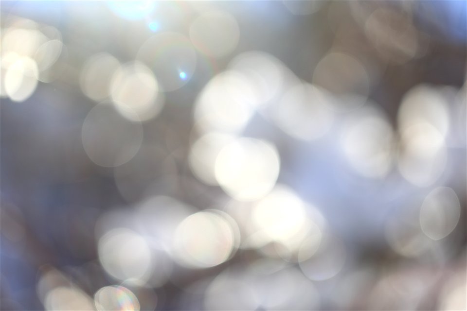 Bokeh photo