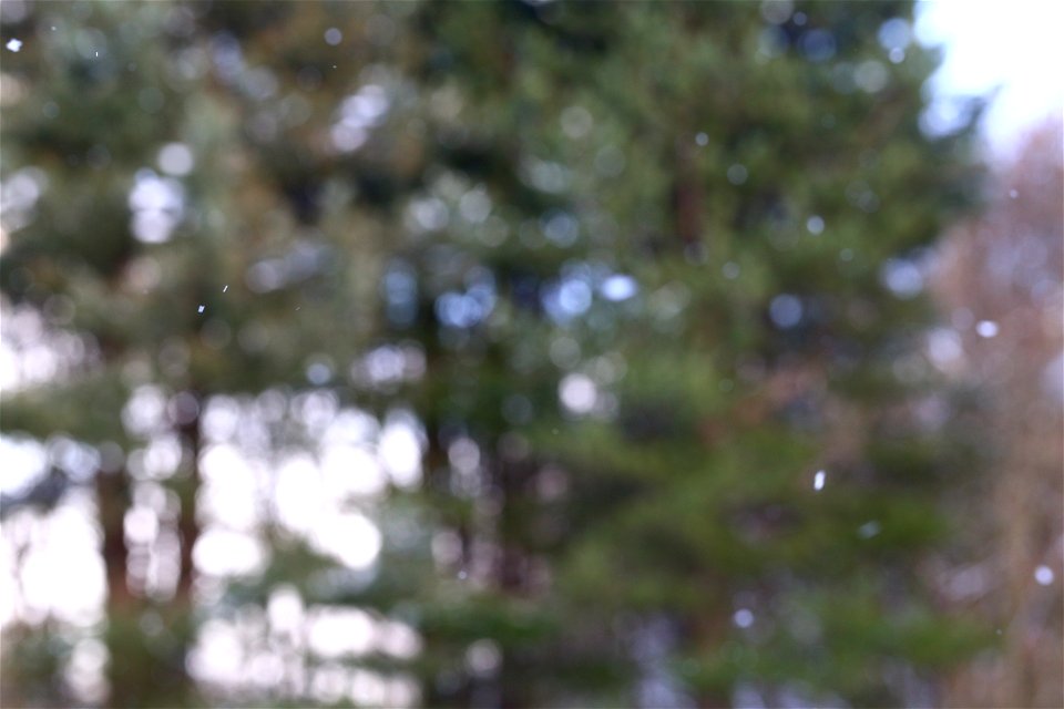 Bokeh