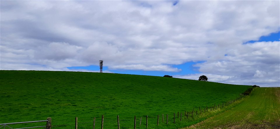 Nature Edge