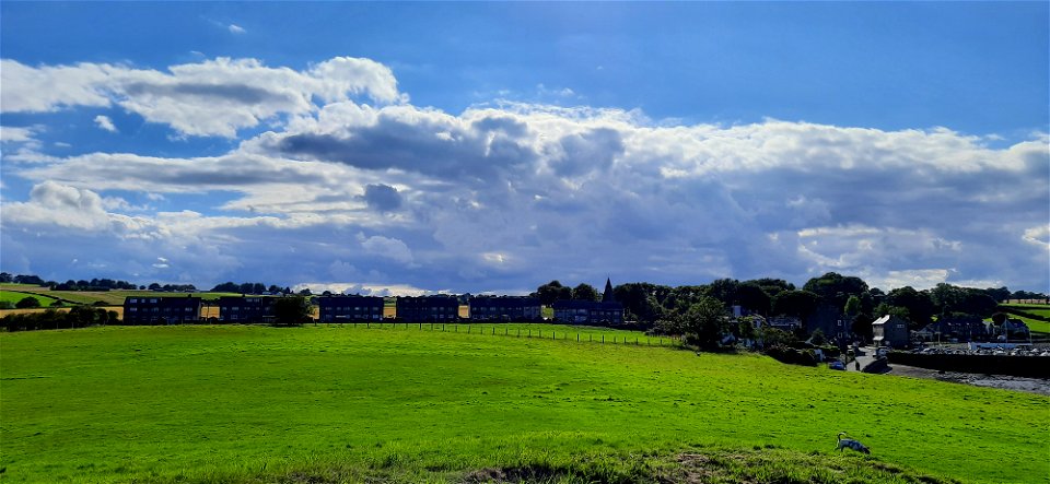 Nature Edge