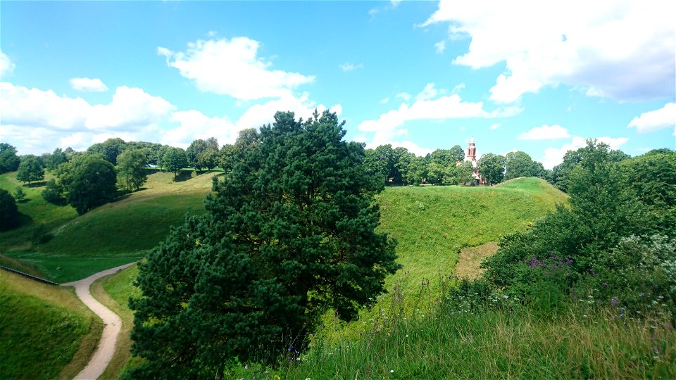 Nature Edge