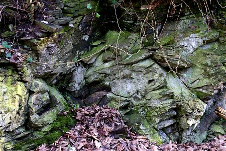 Rock Cliff photo