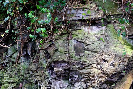 Rock Cliff