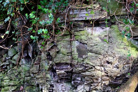 Rock Cliff photo