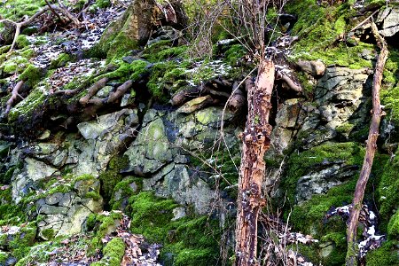 Rock Cliff