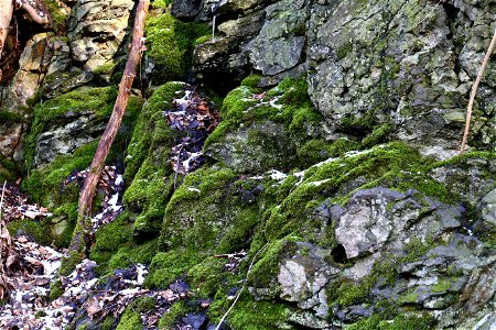 Rock Cliff photo