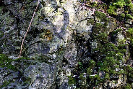 Rock Cliff
