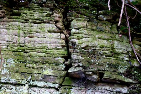 Rock Cliff