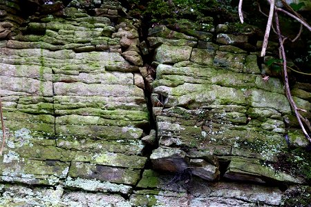 Rock Cliff photo