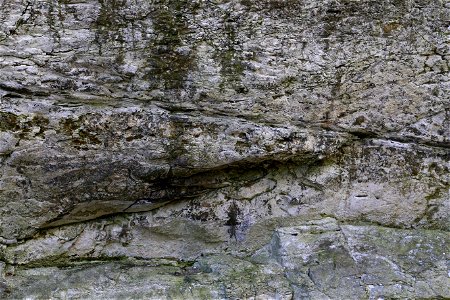 Rock Cliff
