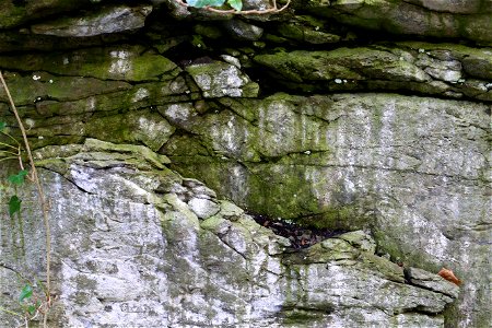 Rock Cliff