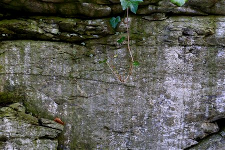 Rock Cliff photo