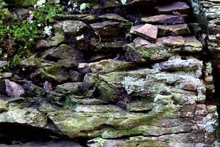 Rock Cliff
