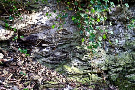 Rock Cliff photo